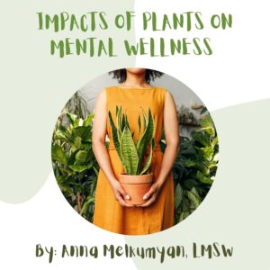 Impacts of Plants on Mental Wellness