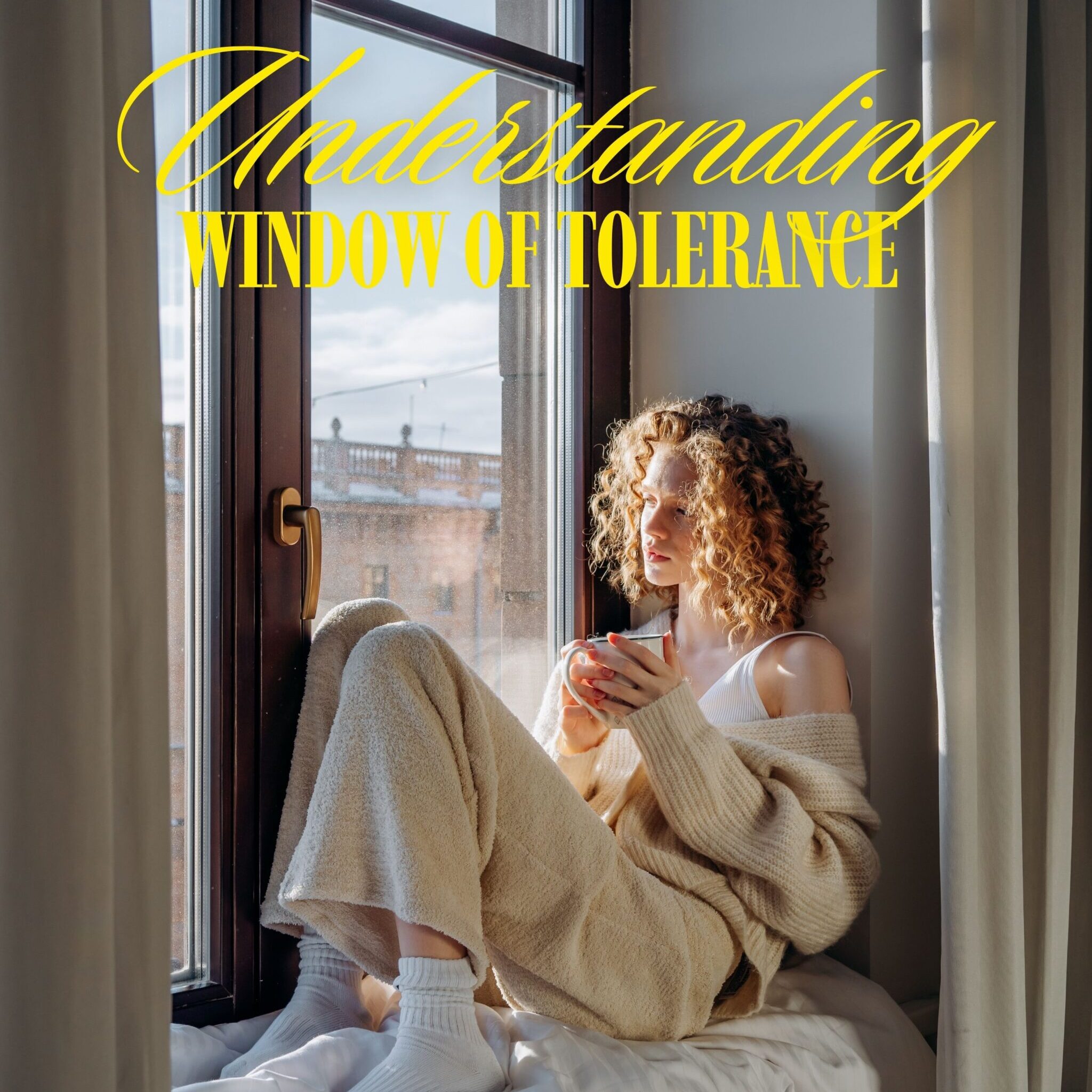 Understanding windows of tolerance